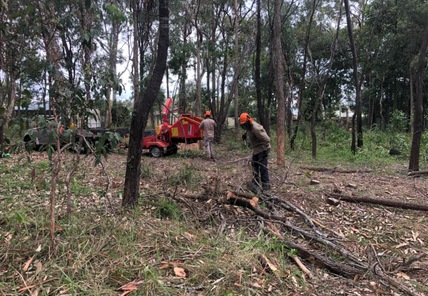 Vegetation Management