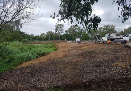 Creekline Restoration