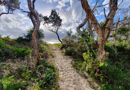 Coastal Weed Control