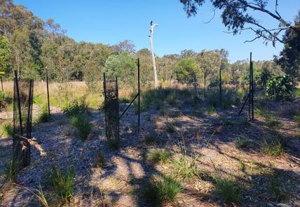 Habitat Restoration Works