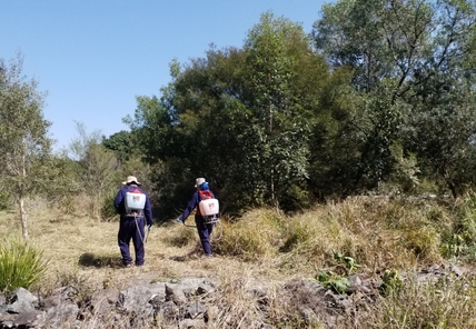 Weed Control Operations