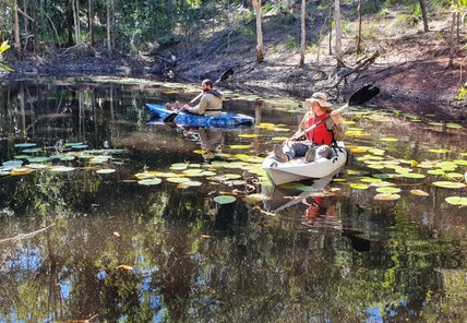 Aquatic Weed Control