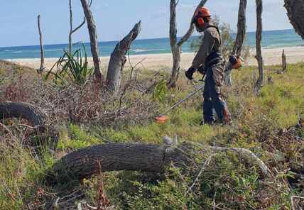 Brushcutting Operations